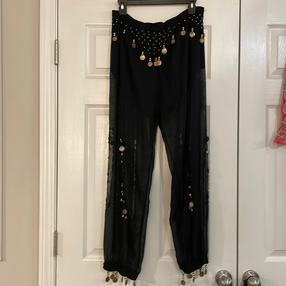Women’s Belly Dancing Pants   Sheer.